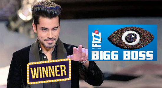 Bigg Boss Winner Season 8 (2015) : Gautam Gulati