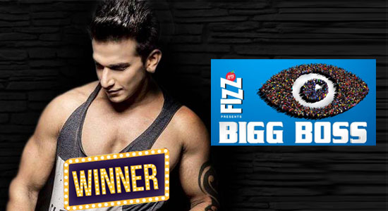 Bigg Boss Winner Season 9 (2016) : Prince Narula