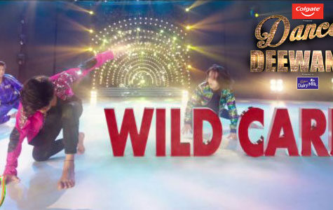 DD Wild Card